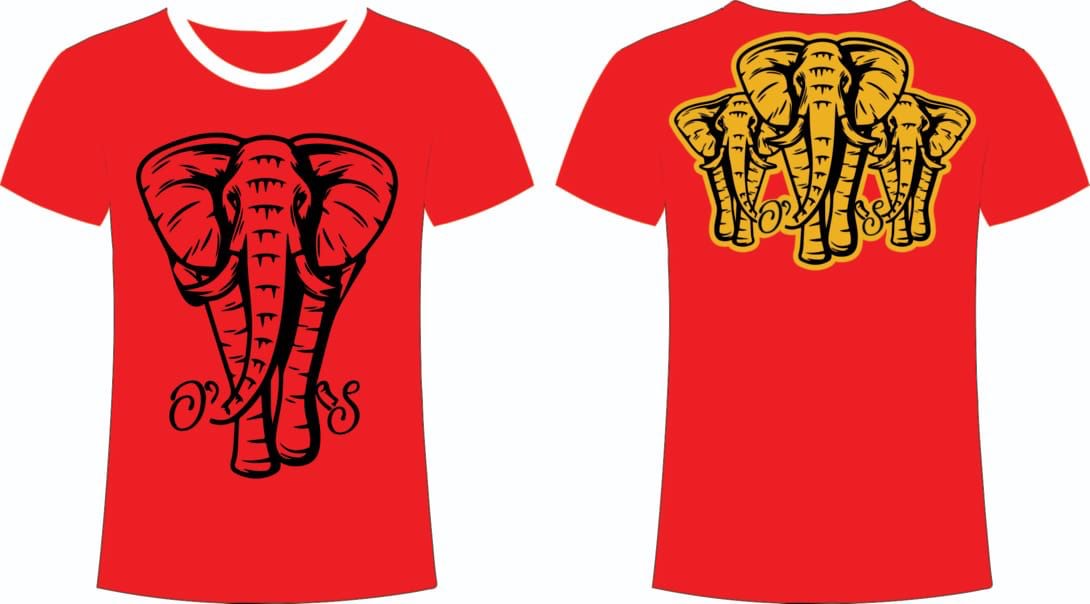 T-shirt image